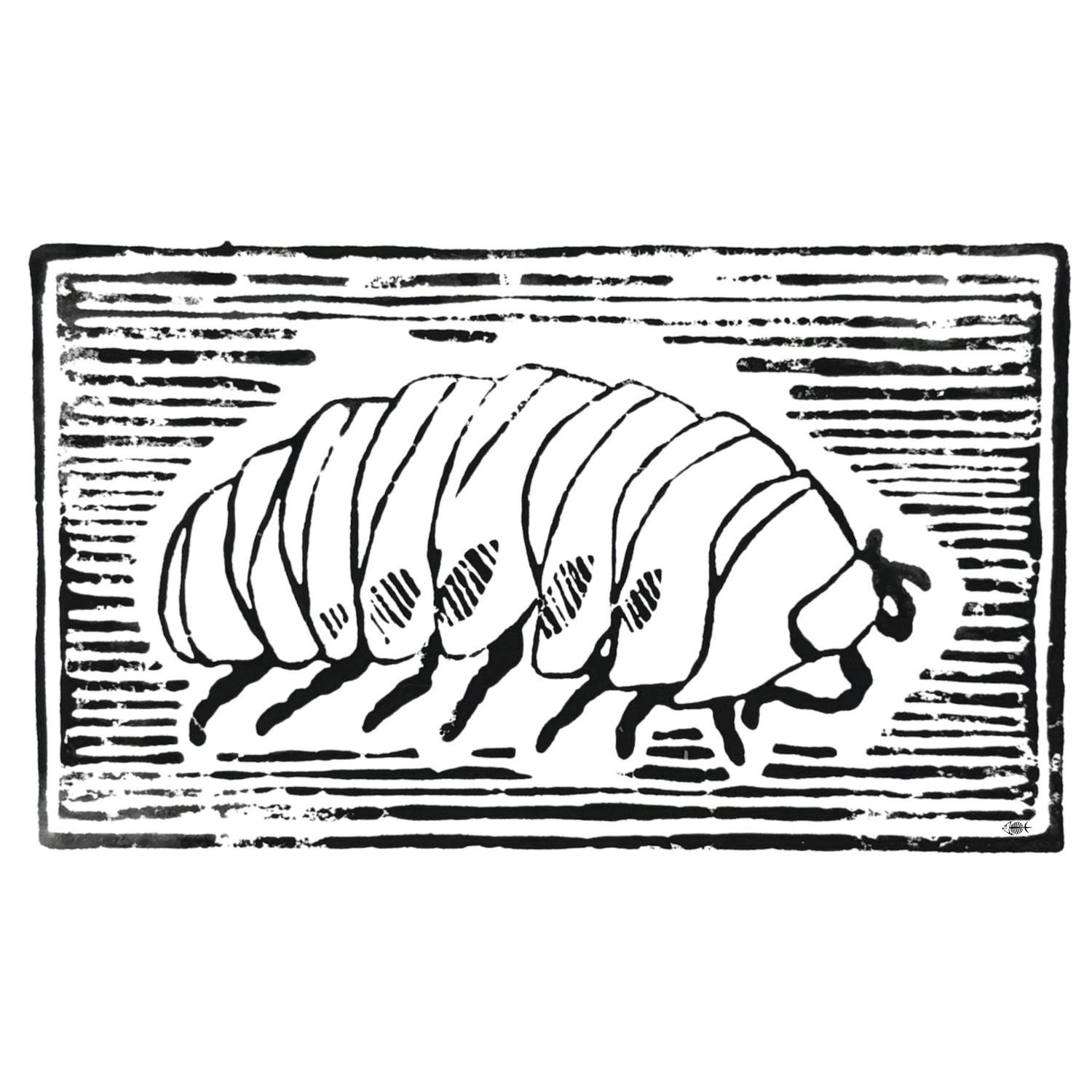 Isopod