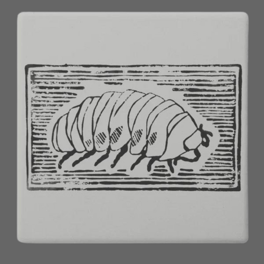 Isopod Square Stone Coasters 4pk