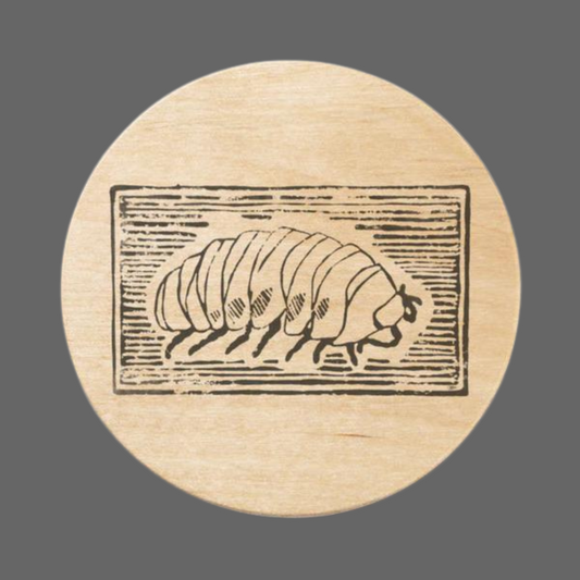 Isopod Magnetic Wooden Bottle Opener