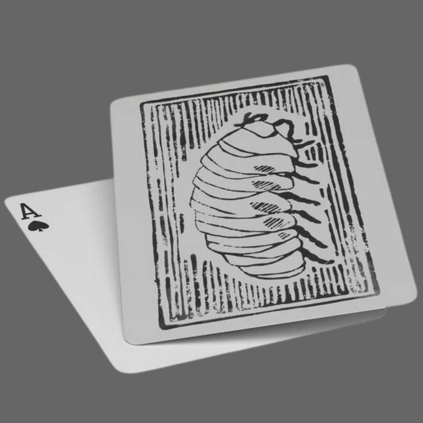 Isopod Playing Cards